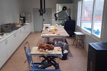 Sala de laboratorio del Museo de los Dinosaurios de Salas de los Infantes.