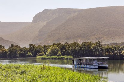 El nuevo catamarán surcando el Sobrón