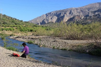 Uno de los puntos de muestreo en el cauce del río Guadalhorce.