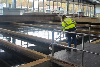 Aguas de Burgos incorpora un gemelo digital a su red de abastecimiento.