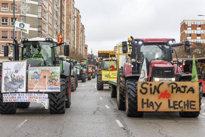 Tractorada multitudinaria en Burgos contra Mercosur.