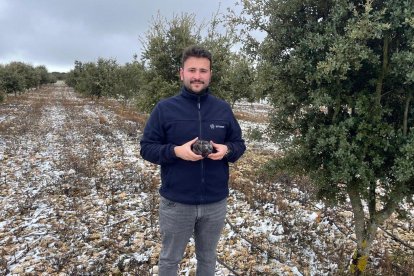 Iván Manchón es el responsable en Truficultura de IDForest