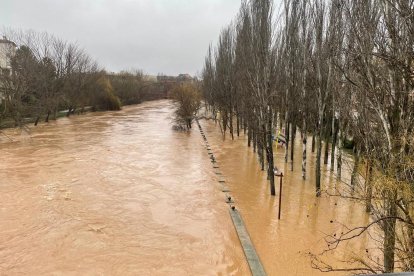 El río Duero a su paso por Aranda