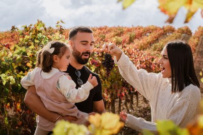 Disfrutando la vendimia en la Ruta Ribera del Duero