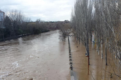 Tras varios días de preocupación, el caudal del Duero comienza a bajar.-L. V.