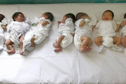 Un grupo de recién nacidos en el servicio de Obstetricia del hospital, pocas horas después de su nacimiento.-ECB