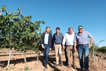 Feijoo ha visitado un viñedo junto al presidente del Consejo Regulador Ribera y el presidente regional