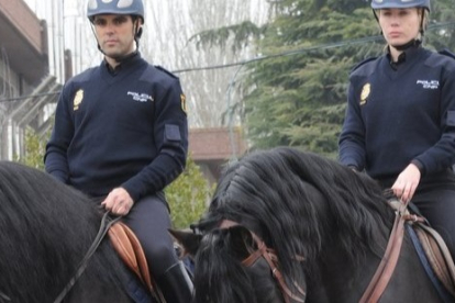 Agentes a caballo patrullarán Aranda y el Sonorama