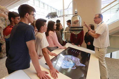 Un grupo de visitantes en la zona del Museo de la Evolución dedicada al cerebro humano,