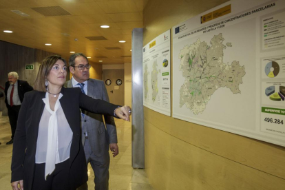 La consejera de Agricultura, Milagros Marcos, fue la encargada de explicar a los profesionales del sector las pautas del mapa en la sede de la Junta en Burgos.-S. O.