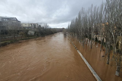Imagen de las inundaciones producidas en la ribera arandina. ECB