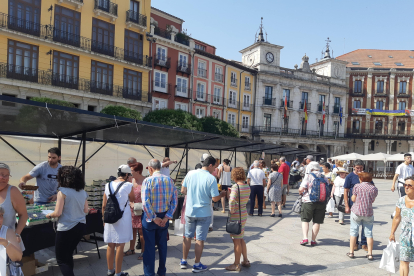 La Plaza Mayor de Burgos albergó la Fiesta Gastronómica de la Cereza de las Caderechas en la que se combinó la venta de cereza de las variedades más tardías de la marca de garantía con diferentes demostraciones de cocina creativa. ECB