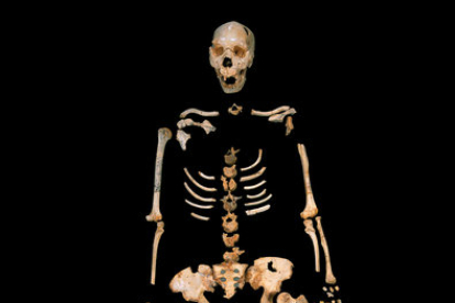 El equipo ha extraído un tercio de toda la colección que puede atesorar la Sima de los Huesos. Son esqueletos completos de 30 individuos. JAVIER TRUEBA (MSF)