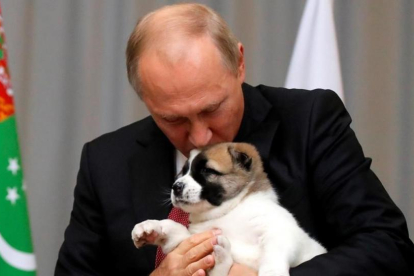 El presidente ruso Vladimir Putin  besa un perro pastor de Asia Central.-MAXIM SHEMETOV / EFE