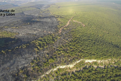 Las consecuencias del grave incendio de Quintanilla del Coco. FOTO: JUNTA DE CASTILLA Y LEÓN