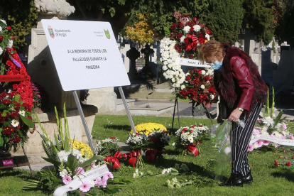 El espacio destinado a las víctimas del Covid-19 en el cementerio de Burgos se reconvertirá en el Jardín del Recuerdo. R. OCHOA