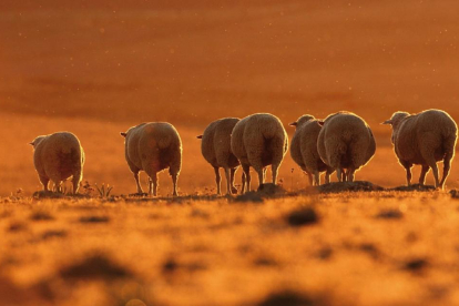 Imagen premiada en el concurso fotográfico del año pasado.-ALFONSO ROLDÁN LOSADA