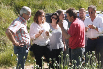 La consejera con candidatos del PP, durante su  visita a un cultivo de adormidera.-G. González