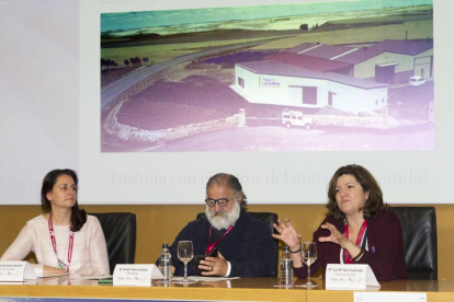 La jornada se celebró en el Salón de Grados del campus de la Milanera de la UBU.-ISRAEL L. MURILLO