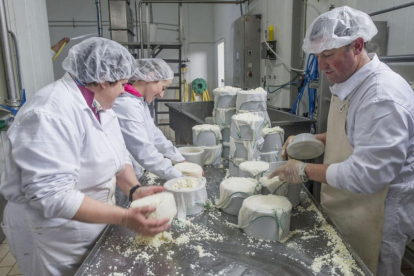 En la fábrica ubicada en Sasamón, tres empleados en el proceso de elaboración de los quesos.-ISRAEL L. MURILLO