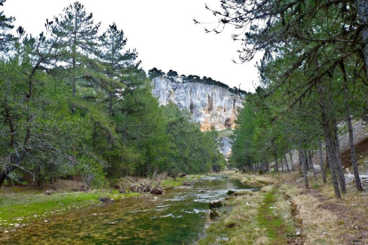 Cañón del Río Lobos a su paso por Hontoria del Pinar.-AYUNTAMIENTO DE HONTORIA