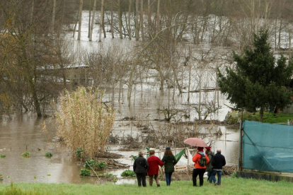 El río Boeza a su paso por Ponferrada, desbordado debido a las intensas lluvias de los últimos días.-ICAL