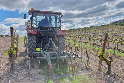 Un agricultor trabajando con su tractor en una explotación vinícola. ECB