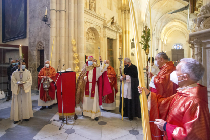 Celebracion del Domingo de Ramos en la Catedral. SANTI OTERO