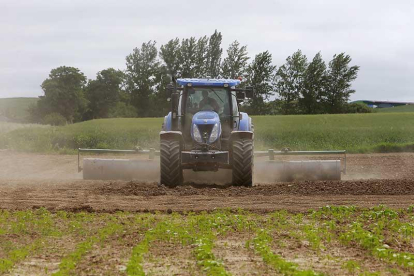 Imagen de un tractor en una tierra de cultivo.-ISRAEL L. MURILLO