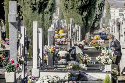 Las flores adornaban, a mediodía de ayer, cientos de sepulturas en el cementerio de San José.-SANTI OTERO