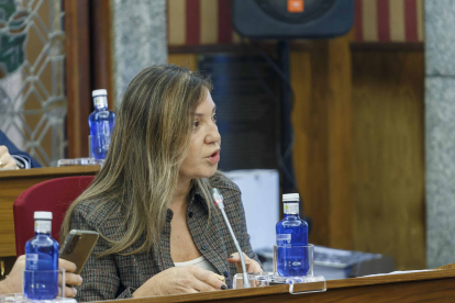 Carolina Blasco, durante el Pleno de aprobación del presupuesto. SANTI OTERO