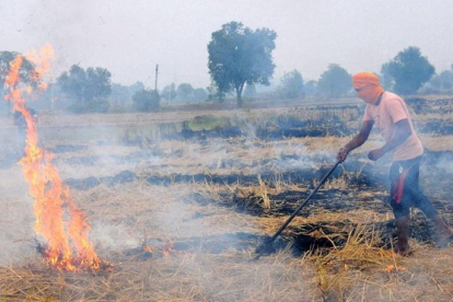 Un campesino indio quema rastrojos en un campo en las afueras de Amritsar, en el estado de Punjab.