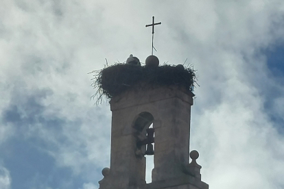 Una cigüeña recién llegada al monasterio de Santa Clara. L. G. L.