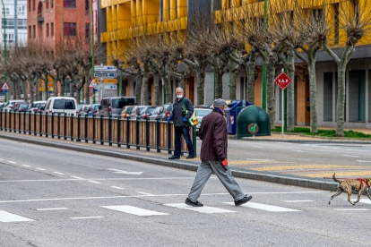 Un hombre camina detrás de su perro en la Avenida de Cantabria, en Burgos. RAÚL OCHOA