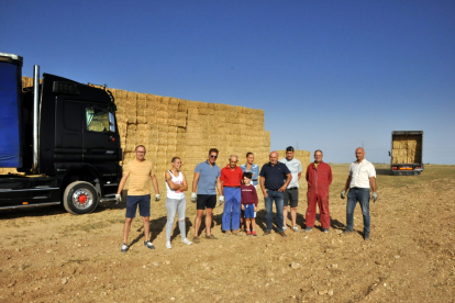 Respuesta solidaria desde Burgos para alimentar al ganado de Ávila