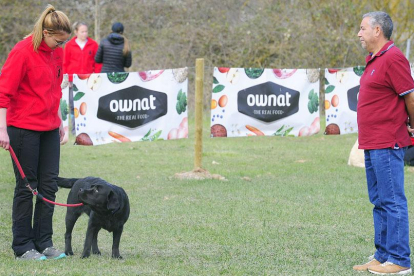 Nueve perros participaron ayer en el test de sociabilidad, prueba de acceso para participar en las competiciones de Obediencia deportiva.-ISRAEL L. MURILLO