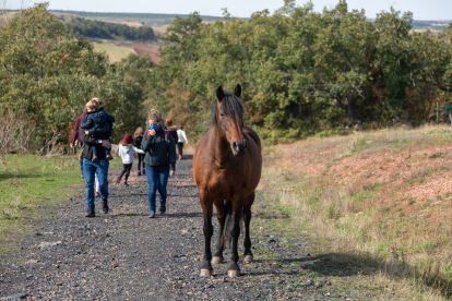 La principal actividad de la asociación es una ruta en el entorno de San Adrián de Juarros  acompañados por los caballos. SANDRA CANDUELA