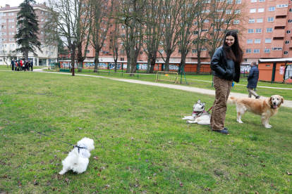 Burgos contará en un mes con 10 zonas de esparcimiento canino repartidas por diferentes zonas ciudad, cuatro de ellas será semiabiertas. TOMÁS ALONSO