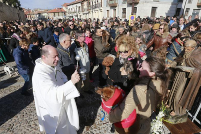 El párroco bendice a los animales que sus dueños portaban en brazos, ante la imagen del santo.-RAÚL OCHOA