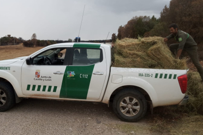 La Junta de Castilla y León ha comenzado el reparto de pacas de alfalfa en la comarca del Arlanza. ECB
