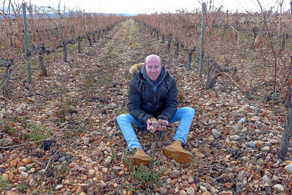 Óscar Hernando sentado en el suelo de la viña del pago El Carrascalejo, en Valtiendas (Segovia).-T.S.T