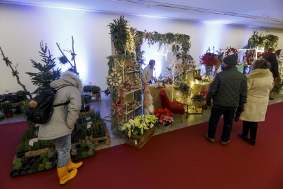 Feria de Navidad de los Floristas de Burgos en el Forum Evolución. FOTOS: © ECB / SANTI OTERO
