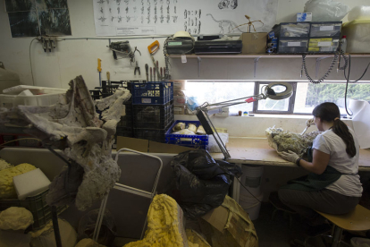 Esta es la zona de trabajo de la conservadora del Museo de los Dinosaurios de Salas, donde apenas dispone de espacio para su labor ni para el almacenamiento de los fósiles. I. L. M.
