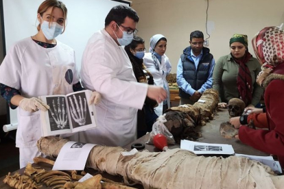 El equipo de investigación de Ricardo Ortega ha ofrecido formación online en los últimos meses a los arqueólogos egipcios. Ui1