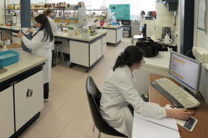 Un grupo de investigadores en uno de los laboratorios de la Facultad de Ciencias de la Universidad de Burgos.-ISRAEL L. MURILLO