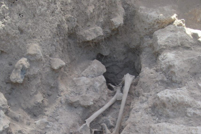 Imagen del enterramiento en el que se localizaron 14 cuerpos, dos de ellos aún conservaban rastros de ADN. UBU