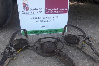 Cepos incautados por la Junta. JUNTA DE CASTILLA Y LEÓN