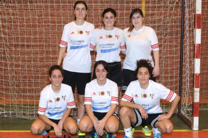 Plantilla del Hotel Ciudad de Burgos, uno de los equipos participantes en la liga femenina.-ISRAEL L. MURILLO
