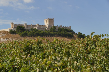 El patrimonio histórico se funde con los viñedos en una tierra donde la gastronomía tiene nombre propio con el vino y el lechazo asado.