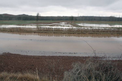 La Vega de Santa Cecilia sufrió pequeñas inundaciones durante la jornada de ayer.-MIGUEL ÁNGEL